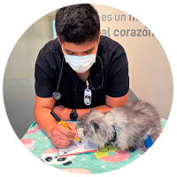 MVZ Abraham Albarrán